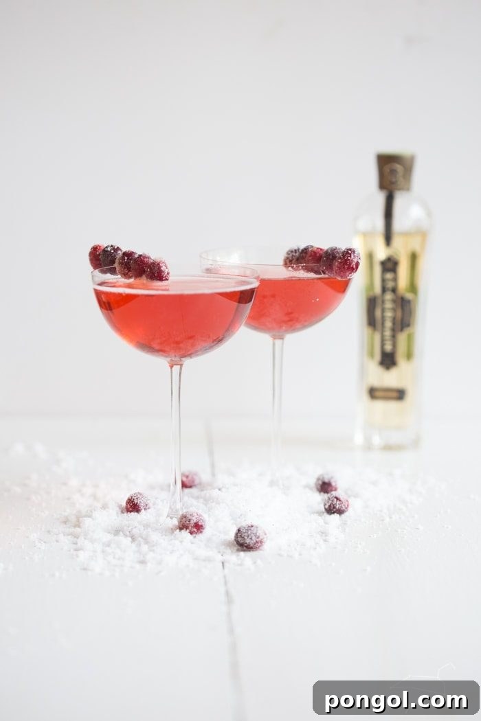 Two cranberry champagne cocktails with sugared cranberry garnishes beside a bottle of St. Germain elderflower liqueur, showcasing the key ingredient.
