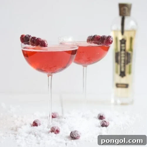 Cranberry-Elderflower Champagne Sparkler