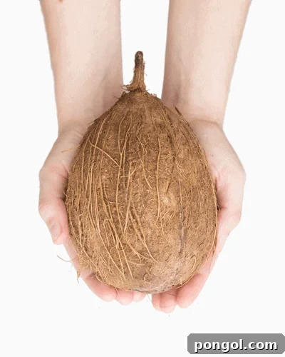 Close-up of a brown coconut, symbolizing the challenge of opening it.