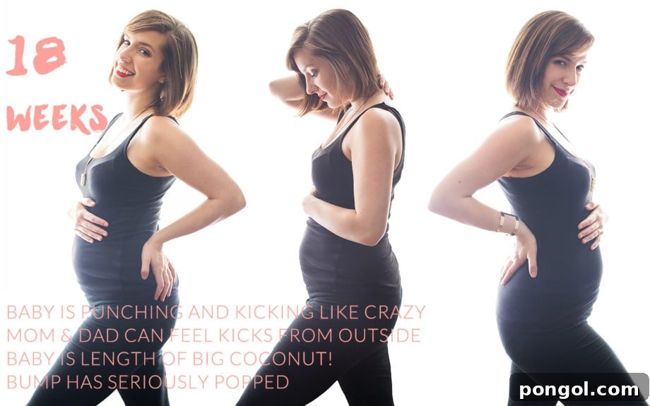 A visual progression of a pregnancy bump at 18 weeks, shared by 40 Aprons.