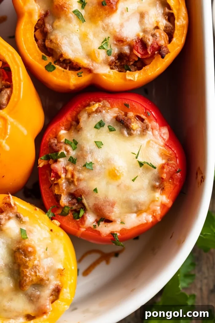 Low Carb Stuffed Peppers 2 overhead image of keto stuffed peppers in a baking dish