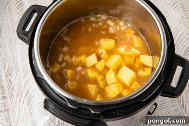 Potatoes and chicken stock in Instant Pot before pressure cooking