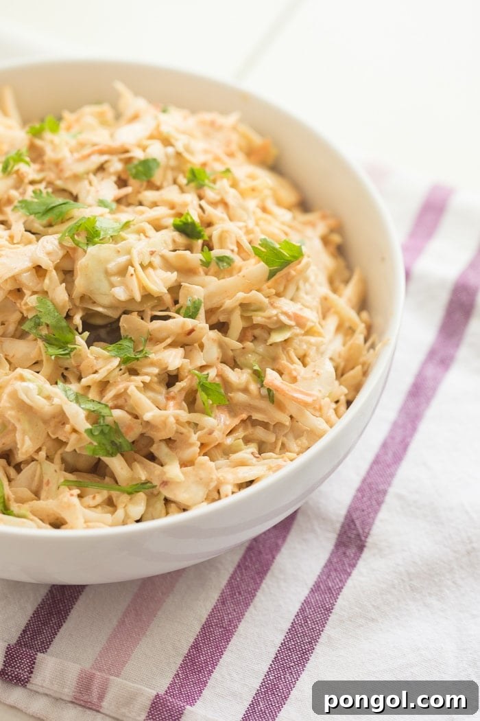 Chipotle Coleslaw - A vibrant and flavorful side for any occasion.