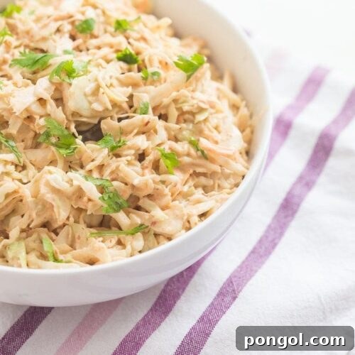 Chipotle Coleslaw with a vibrant dressing