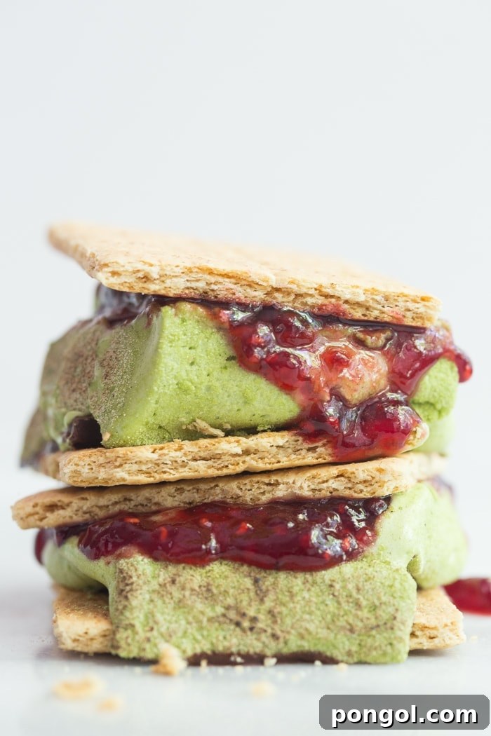 Matcha Raspberry Dark Chocolate S'mores: A Gourmet Twist on a Classic Treat