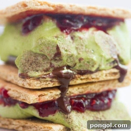Matcha Raspberry S'mores: Gourmet Delight