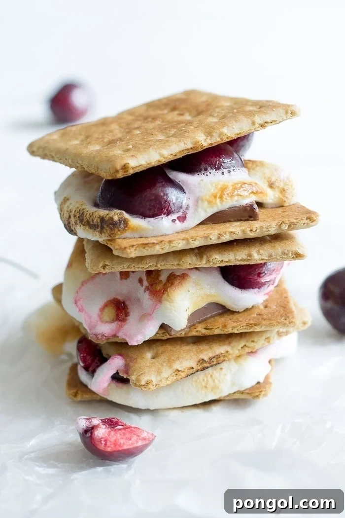 Dark Chocolate Cherry S'mores: A sophisticated s'mores variation with rich dark chocolate and fresh ripe cherries.