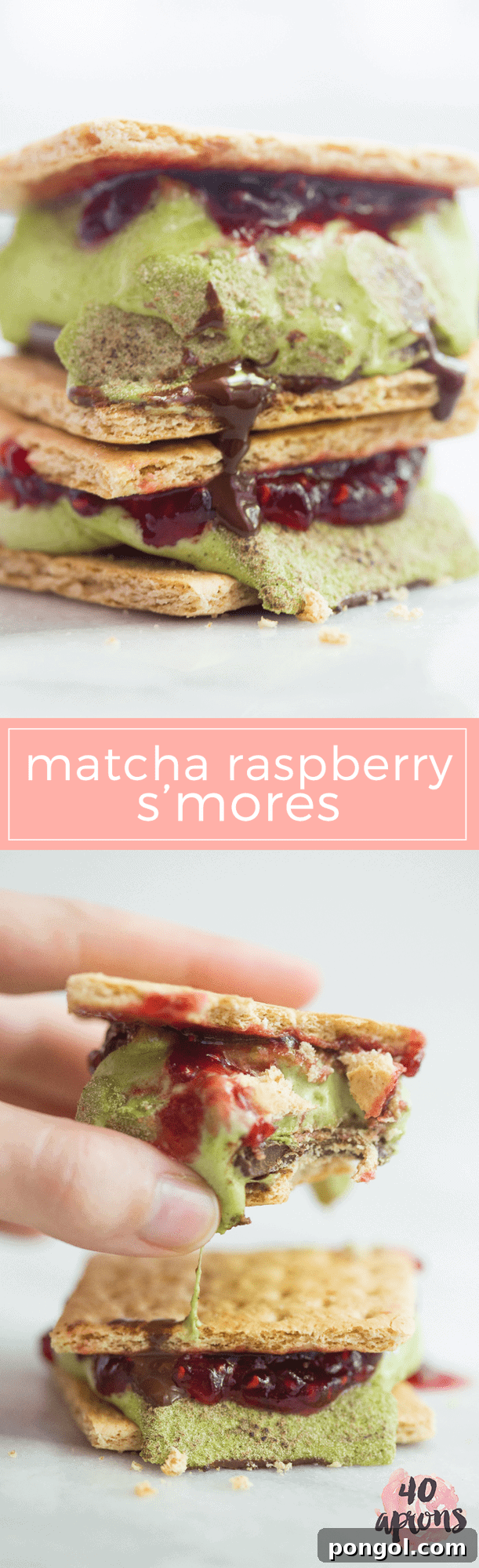 Pin this Matcha Raspberry Dark Chocolate S'mores recipe for later! Gourmet S'mores, Unique Dessert, Matcha Dessert.