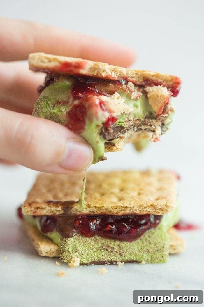 The Evolution of S'mores: From Campfire Classic to Gourmet Delicacy