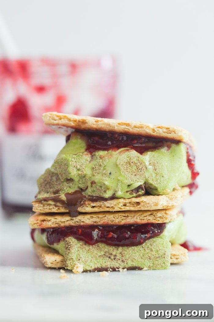 Exploring Unique S'mores Flavors: Blackberry White Chocolate and Dark Chocolate Cherry