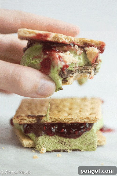 Matcha's Rising Popularity in Gourmet Desserts and Unique S'mores