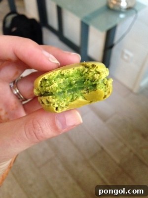 Matcha Delights: Sadaharu Aoki Collection