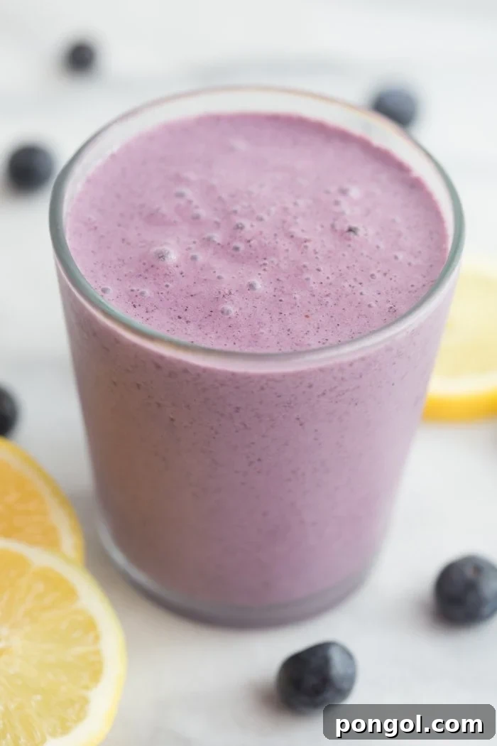 Blueberry Muffin Bliss Smoothie 2 Delicious Blueberry Muffin Smoothie, a healthy and quick breakfast option