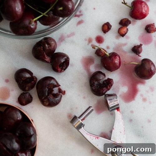 Goat cheese & roasted cherry ice cream - Jeni's recipe. The best ice cream I've ever, ever tasted. /// 40 Aprons