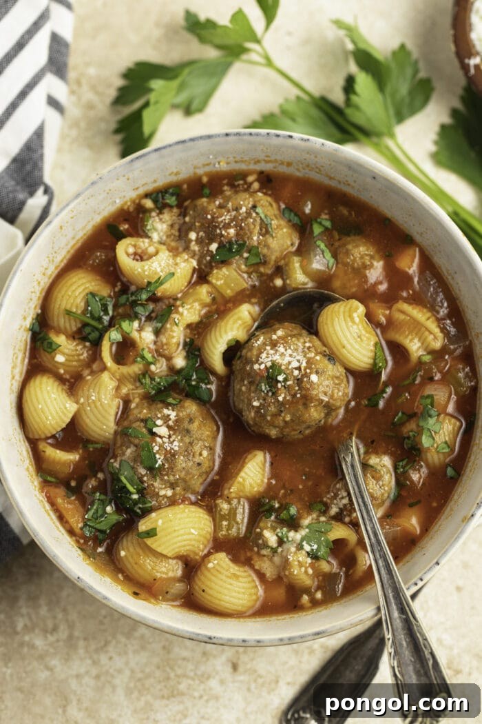 Overhead view of a bowl of meatball soup with noodles