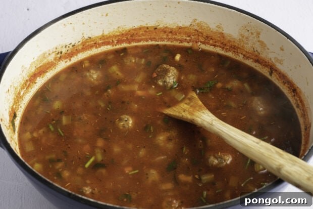 Meatball soup in dutch oven
