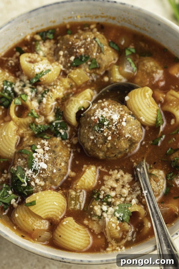 Close up of meatball soup