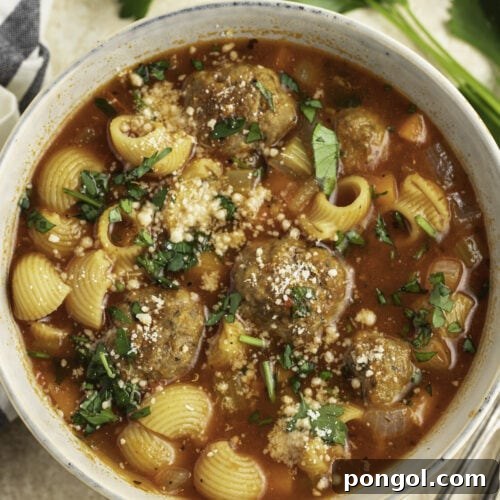 Overhead view of a bowl of meatball soup with noodles