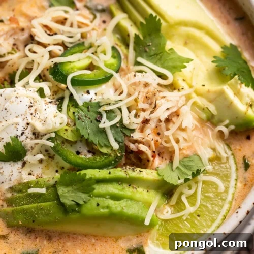 Close up angled photo of keto chicken tortilla soup