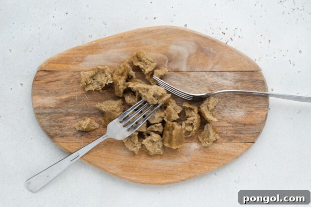 seitan chicken shredded