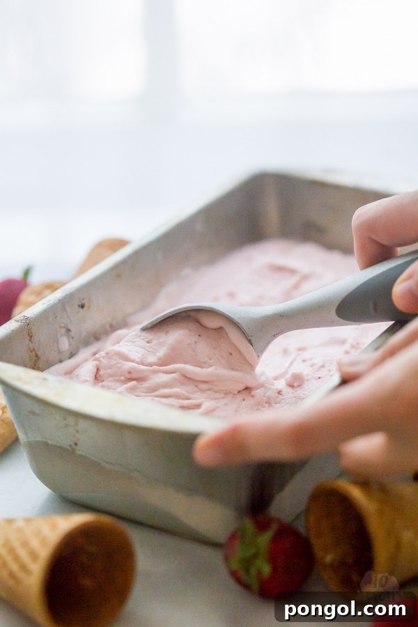 Roasted strawberry and buttermilk ice cream - Jeni's Ice Creams recipe. The perfect strawberry ice cream.