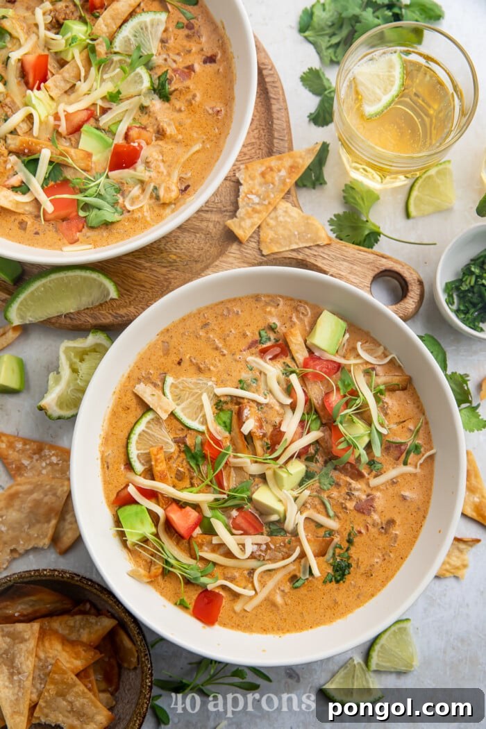 Two bowls of inviting keto taco soup, beautifully plated and garnished, showcasing its rich texture and vibrant toppings.