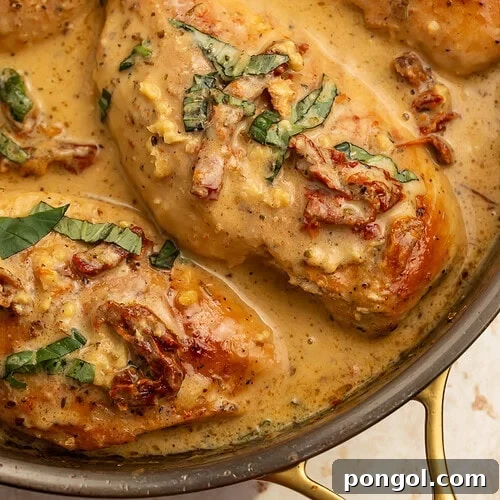 Whole30 marry me chicken in cast iron skillet with creamy coconut sauce, sun-dried tomatoes, and fresh basil.