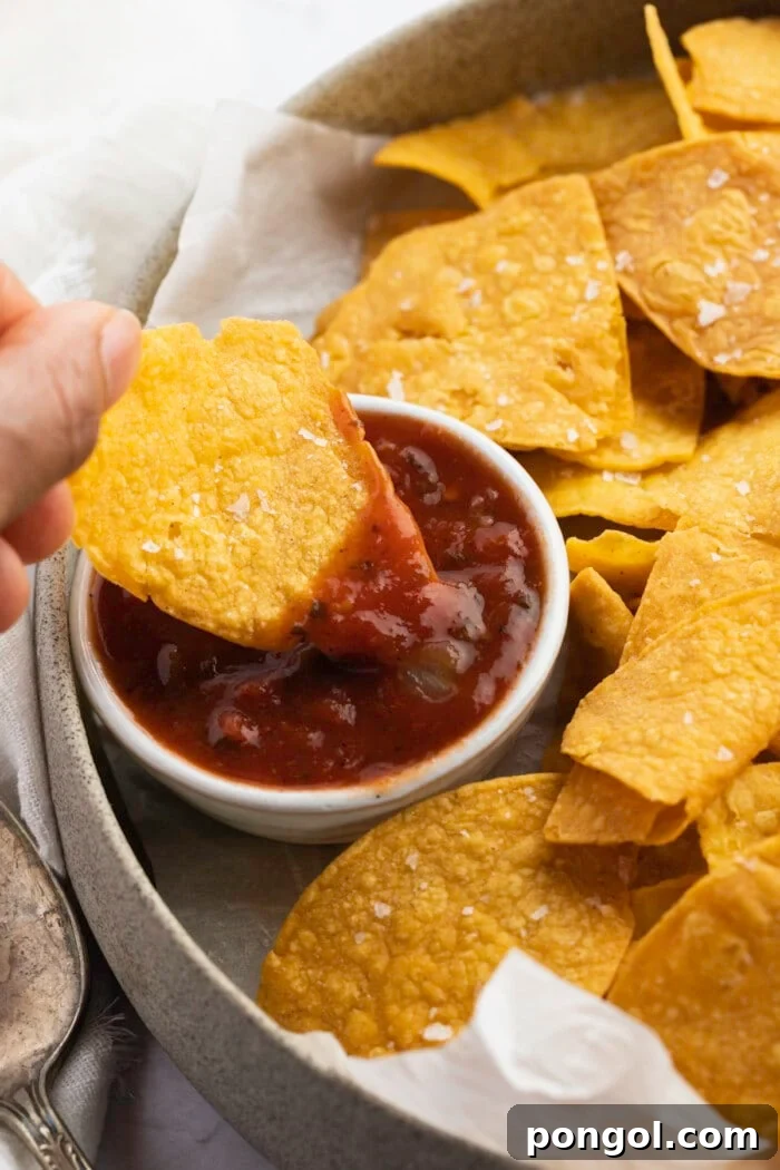 Crispy Air-Fried Tortillas 2 Air fryer tortilla chips dipped into a small bowl of salsa