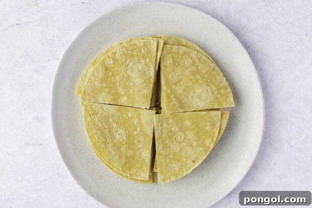 Corn tortillas quartered into tortilla chip shapes