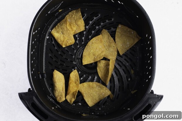 Air Fryer tortilla chips in air fryer basket
