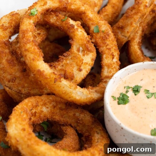 Close-up image of air fryer frozen onion rings, golden and crispy.