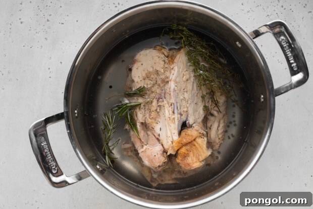 Bone broth ingredients are placed in a large pot, ready for simmering.