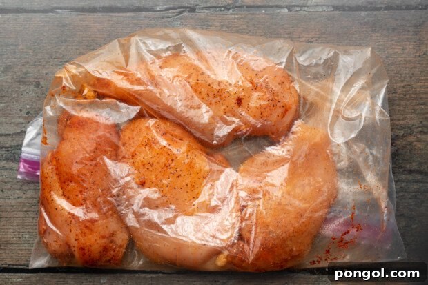 salsa chicken step 3