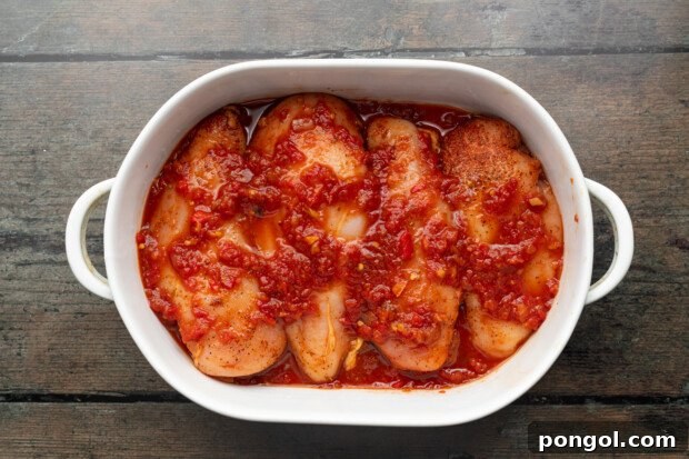 salsa chicken step 4