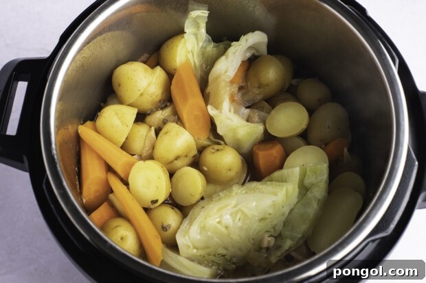 Potatoes, carrots, and onions in Instant Pot before cooking