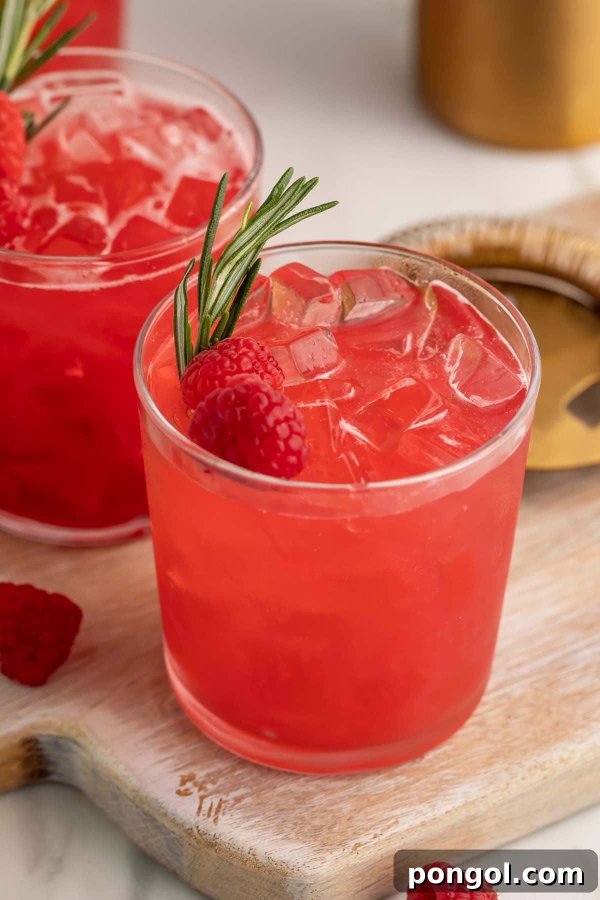 Rosemary Raspberry Elixirs 2 A bright red raspberry cocktail in a elegant glass, garnished with fresh raspberries and a sprig of fragrant rosemary, set against a festive background.