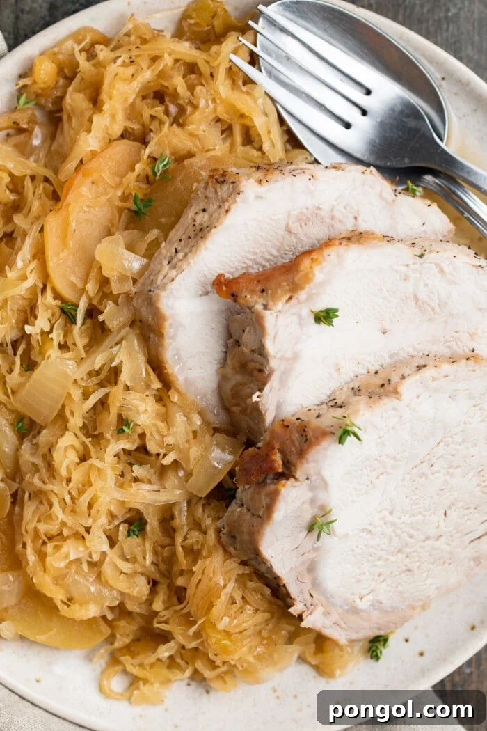 Hearty Pork and Kraut Comfort 3 close-up image of pork and sauerkraut on a plate
