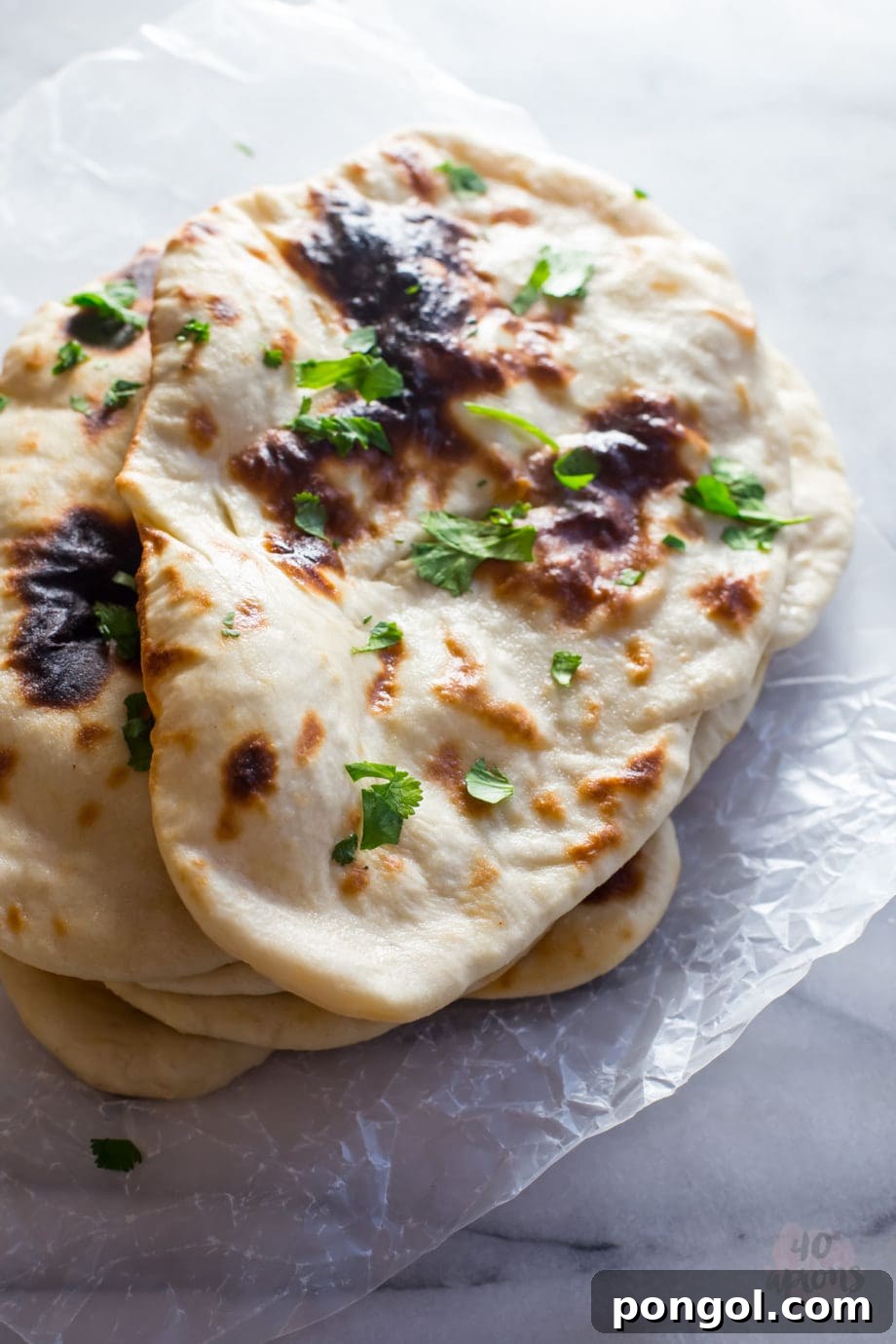 Perfectly cooked naan bread with a slight char.