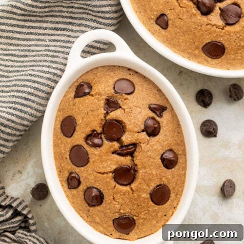 Top-down, overhead view of two oblong single-serve ramekins holding fluffy blended baked oats dotted with chocolate chips.