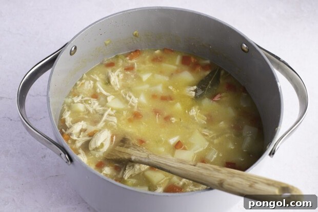 Chicken, chicken broth, and mirepoix in large heavy-bottomed pot with wooden spoon on a white background.