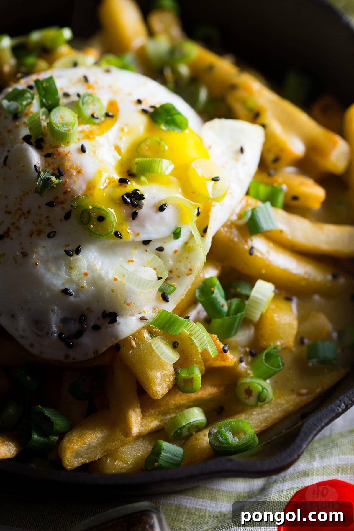 Golden Japanese Curry Fries 4 Japanese curry fries. Definition of epic. Rich, spiced Japanese curry sauce smothers crispy fries, topped with an egg over easy. Mama. // 40 Aprons