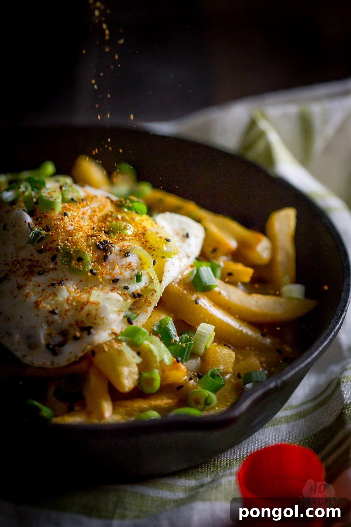 Golden Japanese Curry Fries 6 Japanese curry fries. Definition of epic. Rich, spiced Japanese curry sauce smothers crispy fries, topped with an egg over easy. Mama. // 40 Aprons
