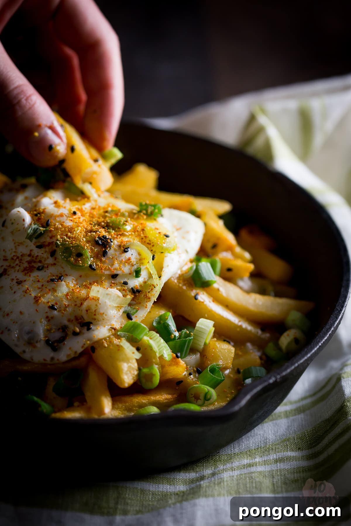 Golden Japanese Curry Fries 7 Japanese curry fries. Definition of epic. Rich, spiced Japanese curry sauce smothers crispy fries, topped with an egg over easy. Mama. // 40 Aprons