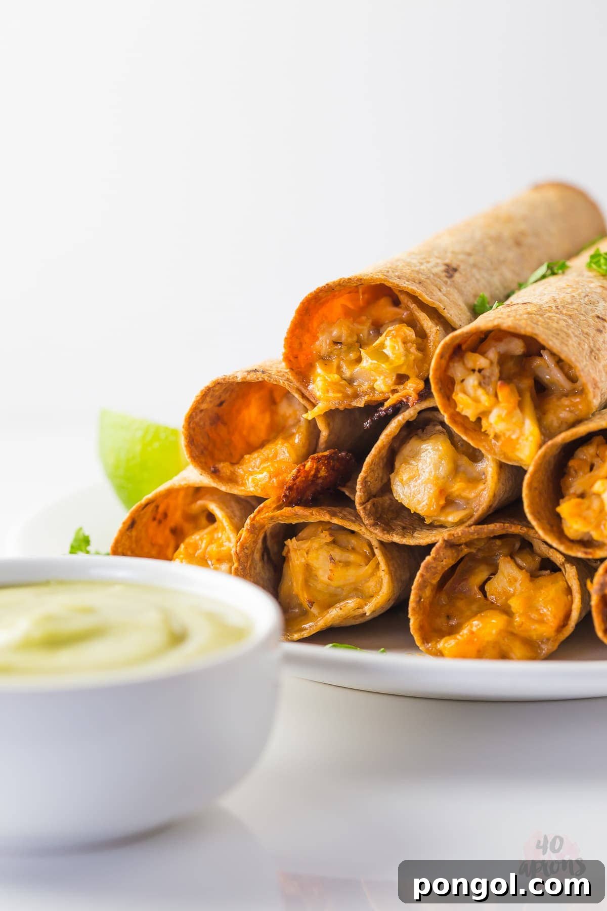 Whole Wheat Cheesy Chicken Taquitos with Creamy Avocado Salsa 2 Cheesy chicken taquitos with avocado salsa (whole wheat!) // 40 Aprons
