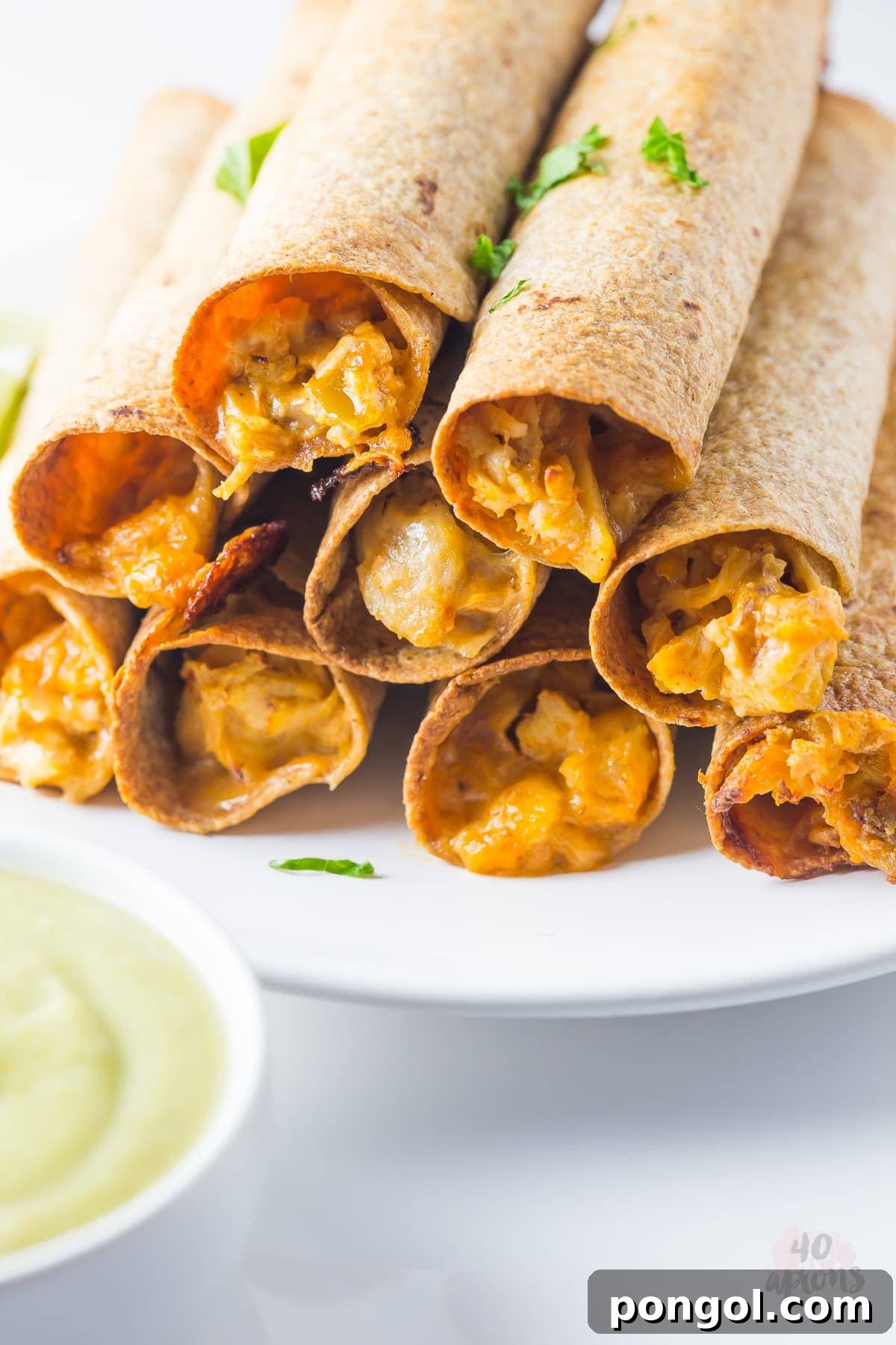 Whole Wheat Cheesy Chicken Taquitos with Creamy Avocado Salsa 3 Cheesy chicken taquitos with avocado salsa (whole wheat!) // 40 Aprons