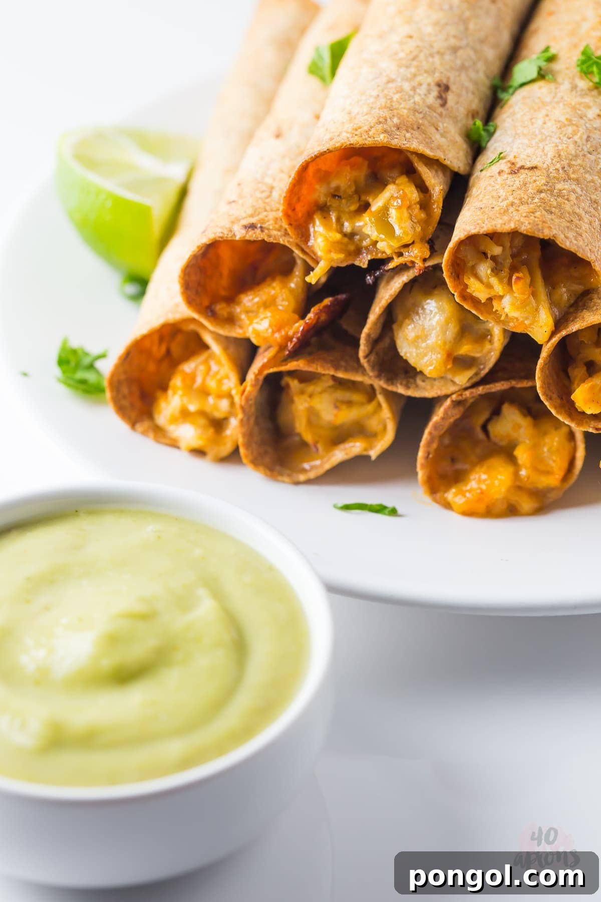 Whole Wheat Cheesy Chicken Taquitos with Creamy Avocado Salsa 5 Cheesy chicken taquitos with avocado salsa (whole wheat!) // 40 Aprons