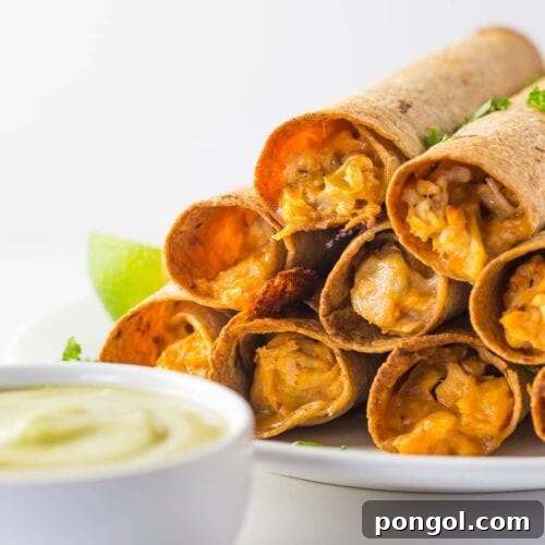 Whole Wheat Cheesy Chicken Taquitos with Creamy Avocado Salsa 7 Cheesy chicken taquitos with avocado salsa (whole wheat!) // 40 Aprons