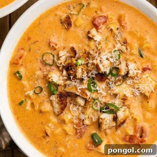 A close-up, overhead view of a single bowl of rich and creamy Cajun chicken pasta soup, showing off the tender chicken pieces, pasta, and vibrant broth.
