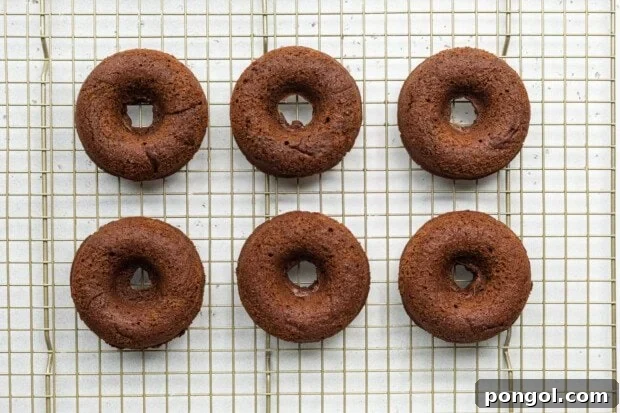 Overhead view of 6 baked chocolate gluten-free donuts on a wire cooling rack.