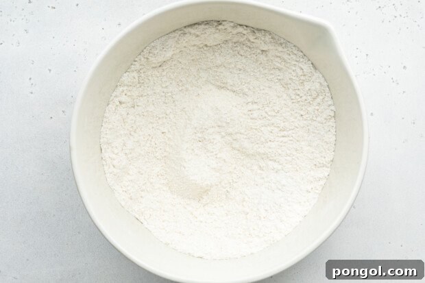 Overhead view of dry ingredients for vanilla gluten-free donuts.